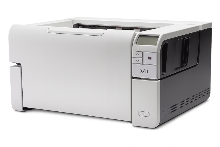 anatomia de cachorro em resina