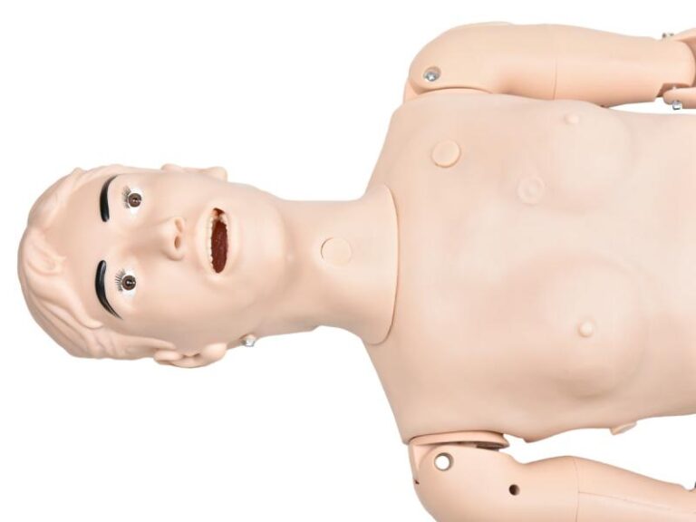 esqueleto humano 85 cm