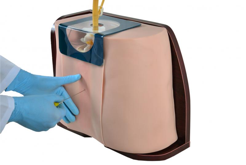 material didático de anatomia